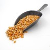 Maïs Pop Corn