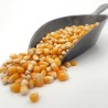 Maïs Pop Corn