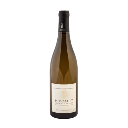 Muscadet