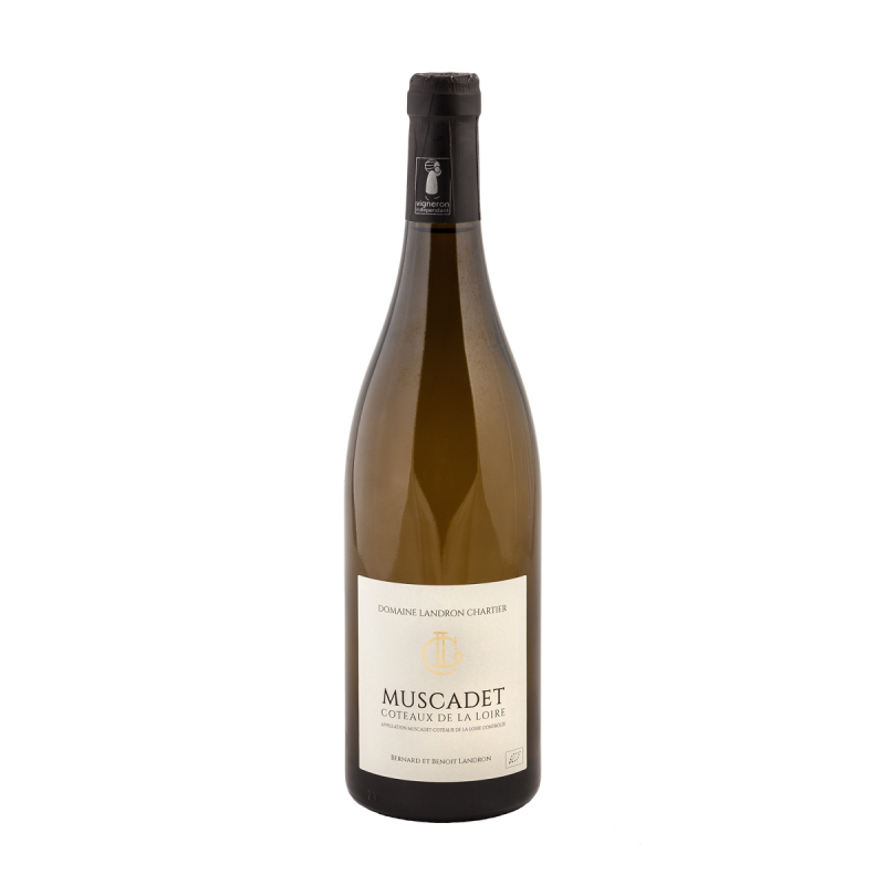 Muscadet Muscadet