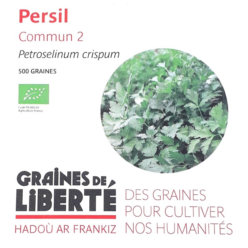Graines de persil - 500 graines