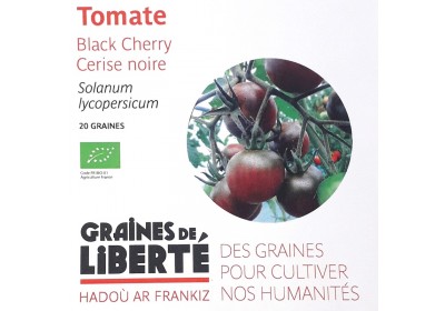 Graines de tomate - 20 graines