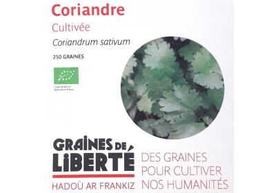 Graines de Coriandre - 250 graines