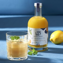 Jus concentré de Gingembre-curcuma - Bio - 50cl