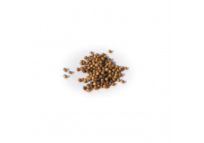 Grains de coriandre - 20 gr - Bio - DDM : mai-23, -10%
