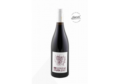 Gamay Toujours - Bio - 75cl